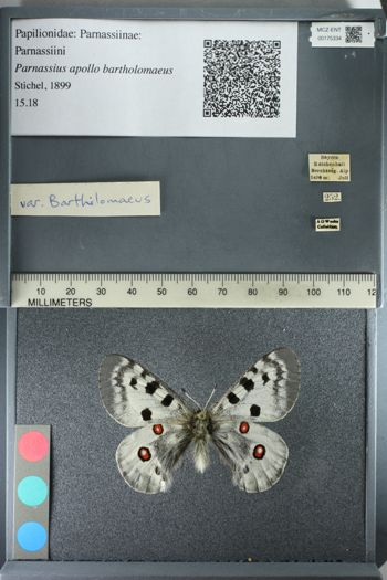 Media type: image;   Entomology 175334